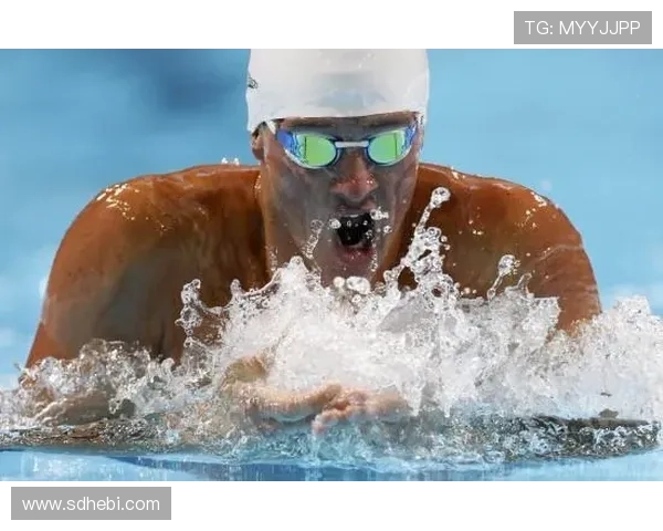 体育联赛游泳视频（体育联赛游泳视频大全）sports